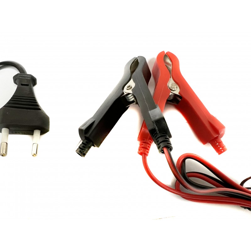 Chargeur de batterie pour voiture et moto 12V