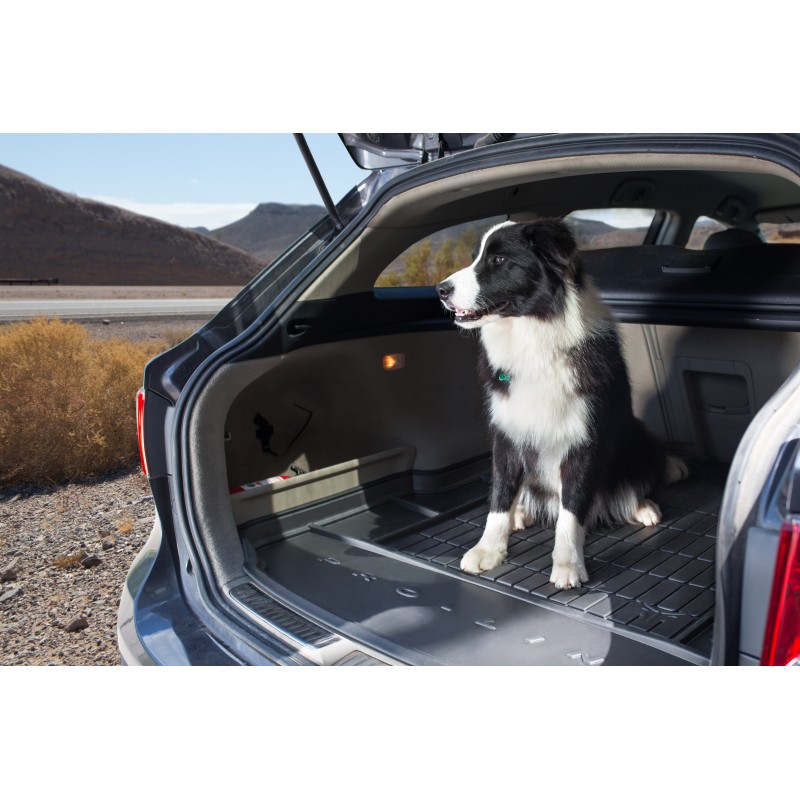 Tapis De Coffre Dacia Sandero 2020 Aujourd Hui 4X2