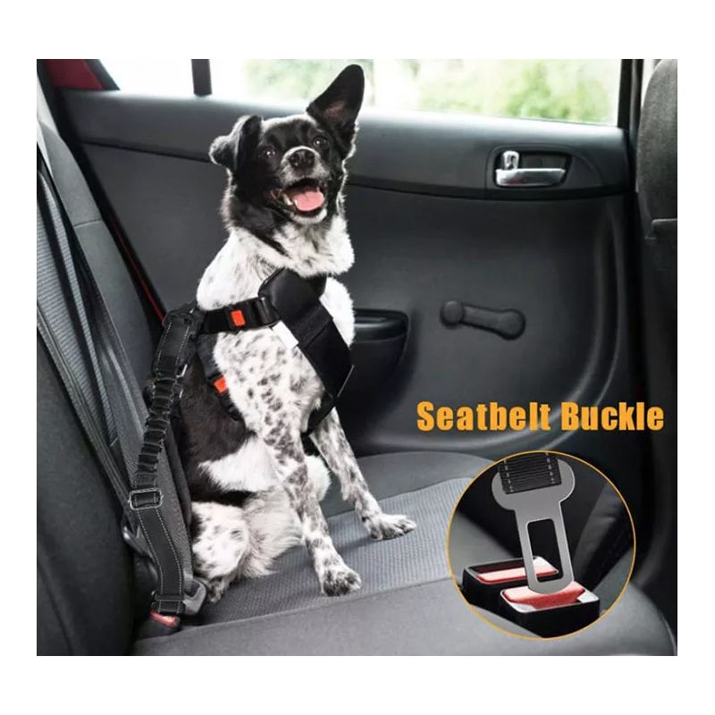 Ceinture de sécurité pour Chien pour Voiture - Ceinture de sécurité pour  Chien - Ceinture élastique réfléchissante avec Crochet pour Toutes Les  Races