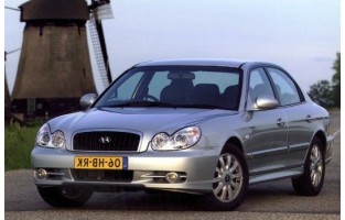 Tapis Hyundai Sonata (2001 - 2005) Beige