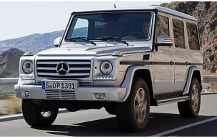 Mercedes Classe G W463