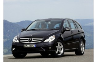 Mercedes Classe R W251