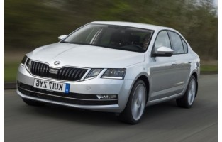 Tapis Skoda Octavia Hatchback (2017 - actualité) Beige