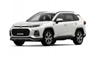 Tapis de sol, le Sport Edition Suzuki à Travers (2021-présent)
