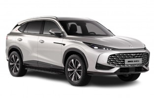 Chaînes roues MG HS Essence (2025 - )